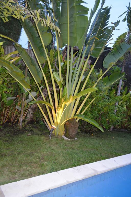 Villa Raquel Seminyak Chambre photo